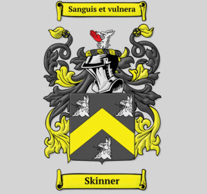 The Skinner family from Falkland, Fife & Kemeys Inferior.