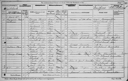 Bryngwyn Farm 1881 Census