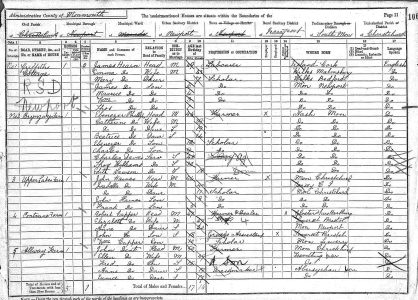 Bryngwyn Farm 1881 census