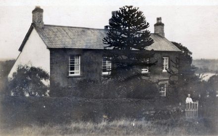 Cwm Farm 1920