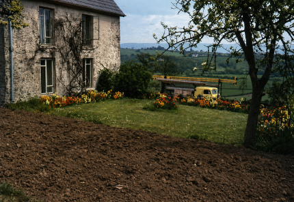 Abernant Farm and garden