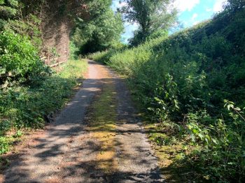 The path to Abernant