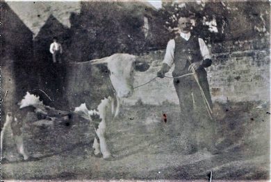 James Skinner with Hereford bull