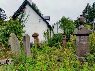 Overgrown Rehoboth Chapel