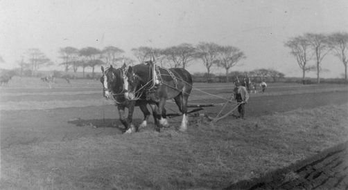 Ploughing in Fife